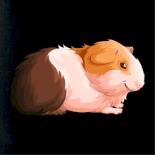 Morče - kreslené z boku