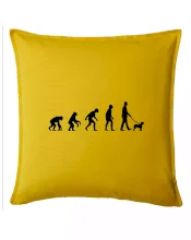 Lagotto romagnolo Evoluce muž / žena