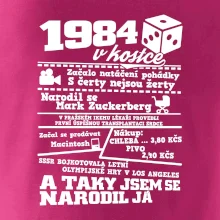 1984 v kostce