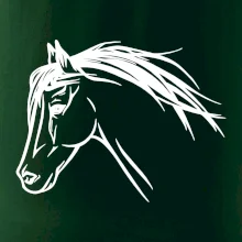 Kůň - hlava celá
