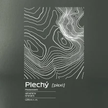 Plechý - vrstevnice v obdélníku