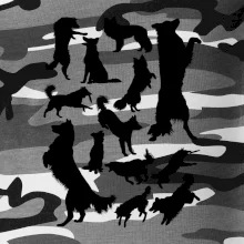 Border kolie siluety