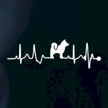 Shiba-Inu EKG