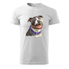 Americký stafordširský teriér  kreslený