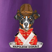 Napoleon domácí pes kříženec