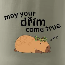 May your dřím come true