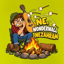 Ne Wonderwall nezahrám