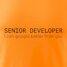 Senior developer google better than you