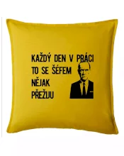 Každý den v práci to se šéfem nějak přežiju