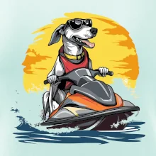 Chrt na vodním skútru