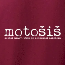 Čeština 2.0 - motošiš