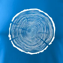 Letokruhy 100 bez věku