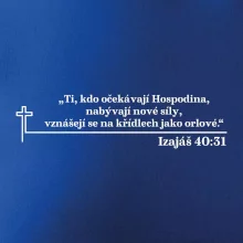 Citáty z bible - Izajáš 40:31