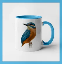 Lednáček kreslený