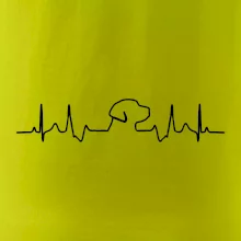 Labrador EKG Labrador EKG