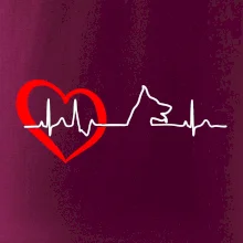 Německý ovčák ekg