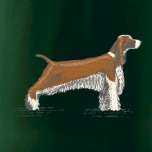 Vintage Springer spaniel