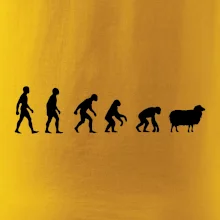 Evoluce ovce
