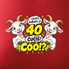 Těmhle holkám je 40, čučíš co?