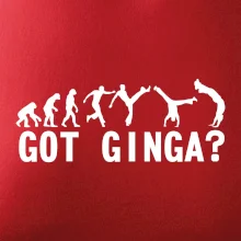 Capoeira - Got Ginga