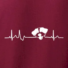 Jack Russell Terriér hrubosrstý Ekg