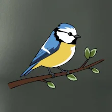 Sýkorka modřinka na větvi