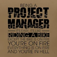 Being A Project Manager - bike