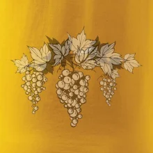 Vinné hrozny šedé