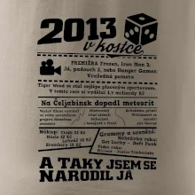 2013 v kostce