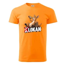 Klokan  - Lokan