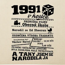 1991 v kostce