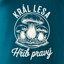 Král lesa hřib pravý