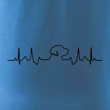 Labrador EKG Labrador EKG