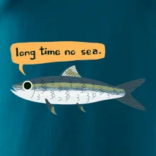 Long time no sea