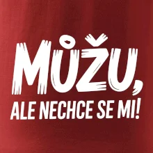 Můžu, ale nechce se mi