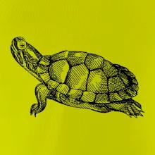 Tužkou kreslená želva