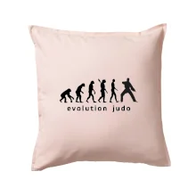 Judo evoluce - úder