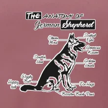 Německý ovčák - Anatomie