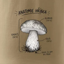 Anatomie hříbka