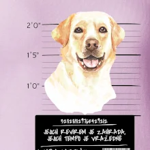 Lump a darebák labrador