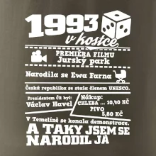 1993 v kostce