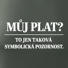 Můj plat? to jen taková symbolická pozornost