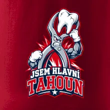 Jsem hlavní tahoun