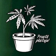 Konopi prostě pěstuju