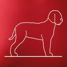 Lagotto romagnolo stojící