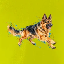 Německý ovčák v běhu - akvarel