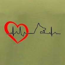 Německý ovčák ekg