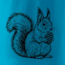 Zvířata Krkonoš – veverka obecná