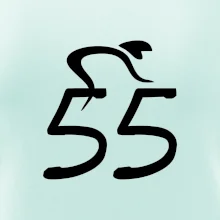 Cyklista slaví pětapadesátku (55)