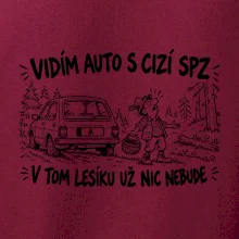 Vidím auto s cizí spz